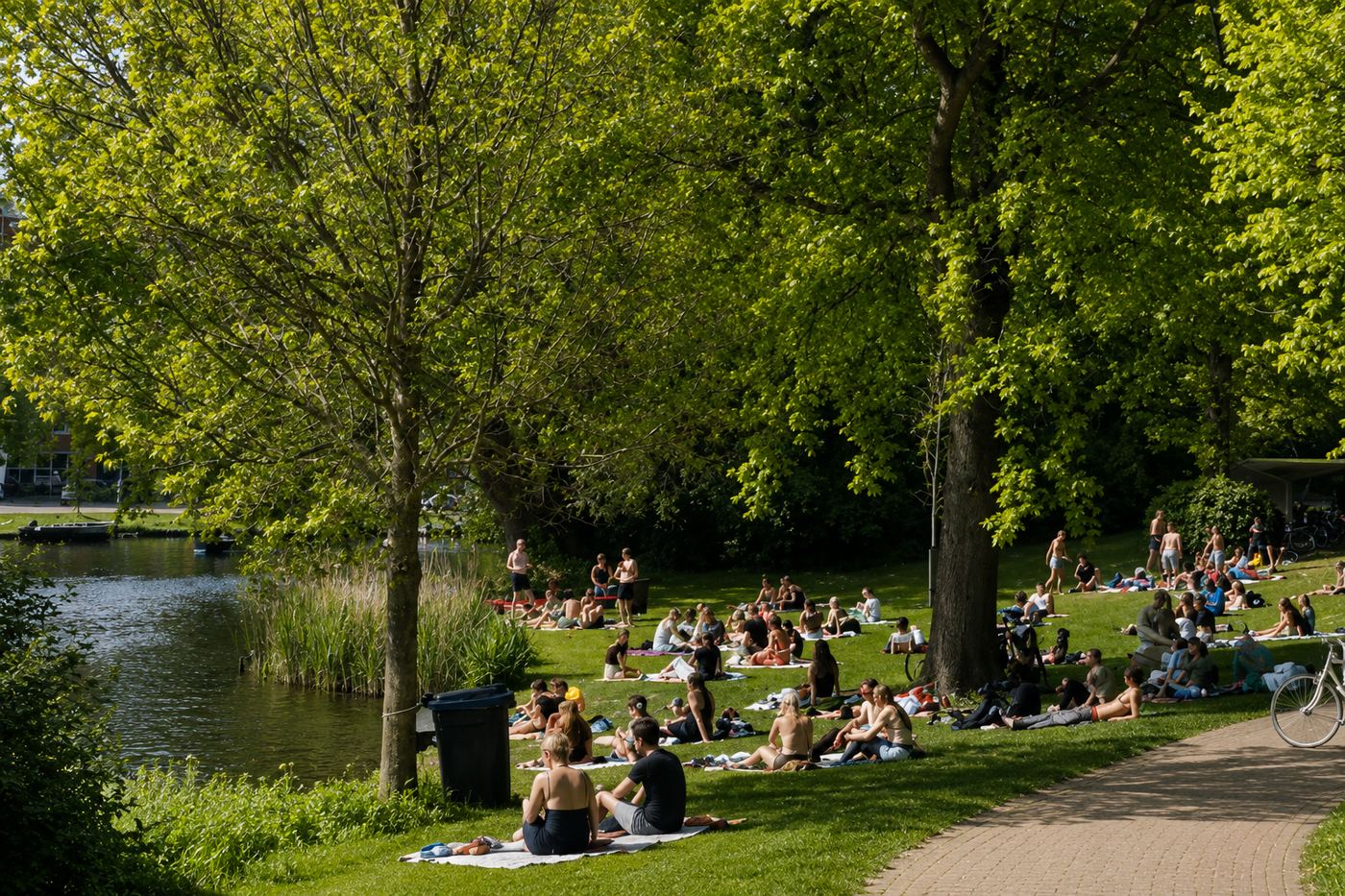 Mensen ontspannen op het gras in een Nederlands park aan het water, omringd door bomen.